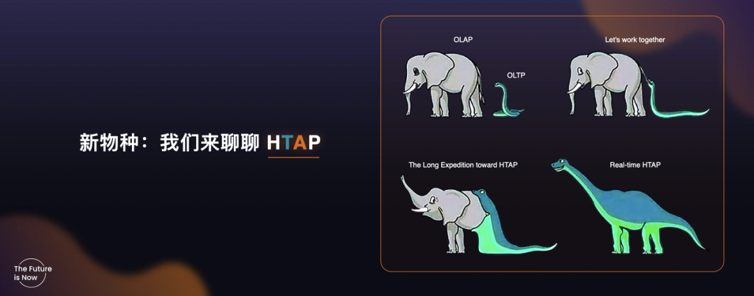 新物种 HTAP.png